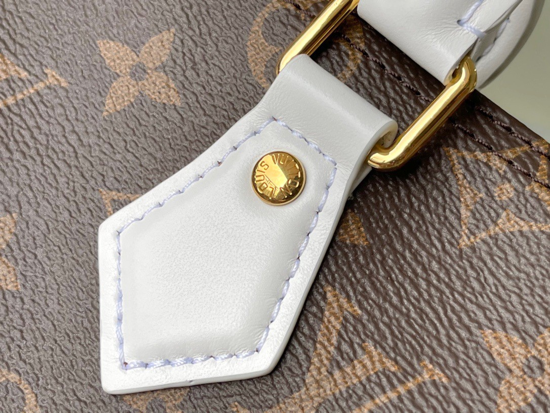 Louis Vuitton LV Rivoli PM Satchel Shoulder Handbag M44543