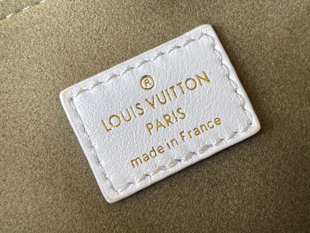 M21353 Louis Vuitton Monogram Motif Coussin PM Handbag