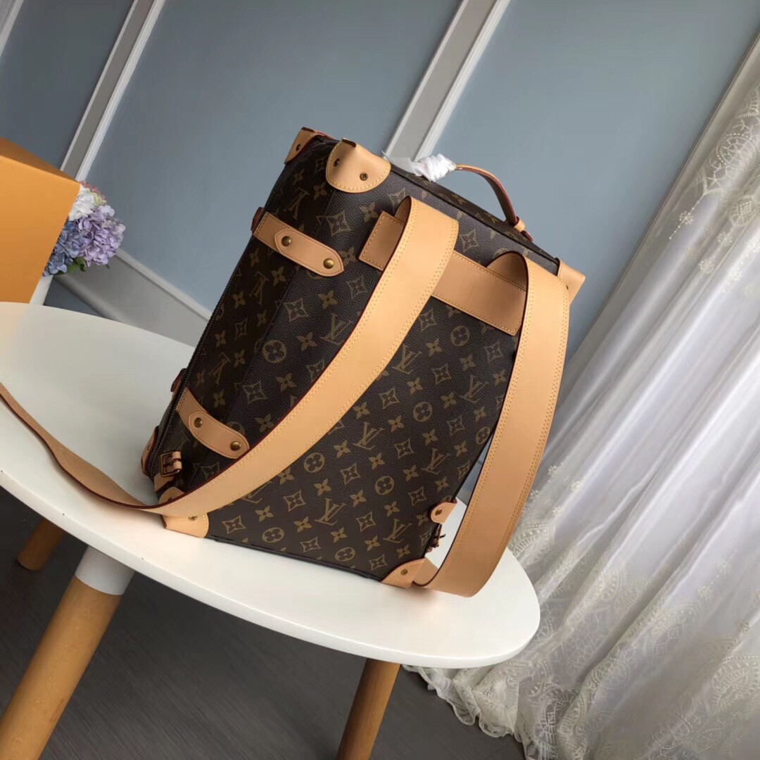 LnV SOFT TRUNK BACKPACK PM M44752 in 2023  Louis vuitton bag neverfull,  Louis vuitton, Louis vuitton handbags